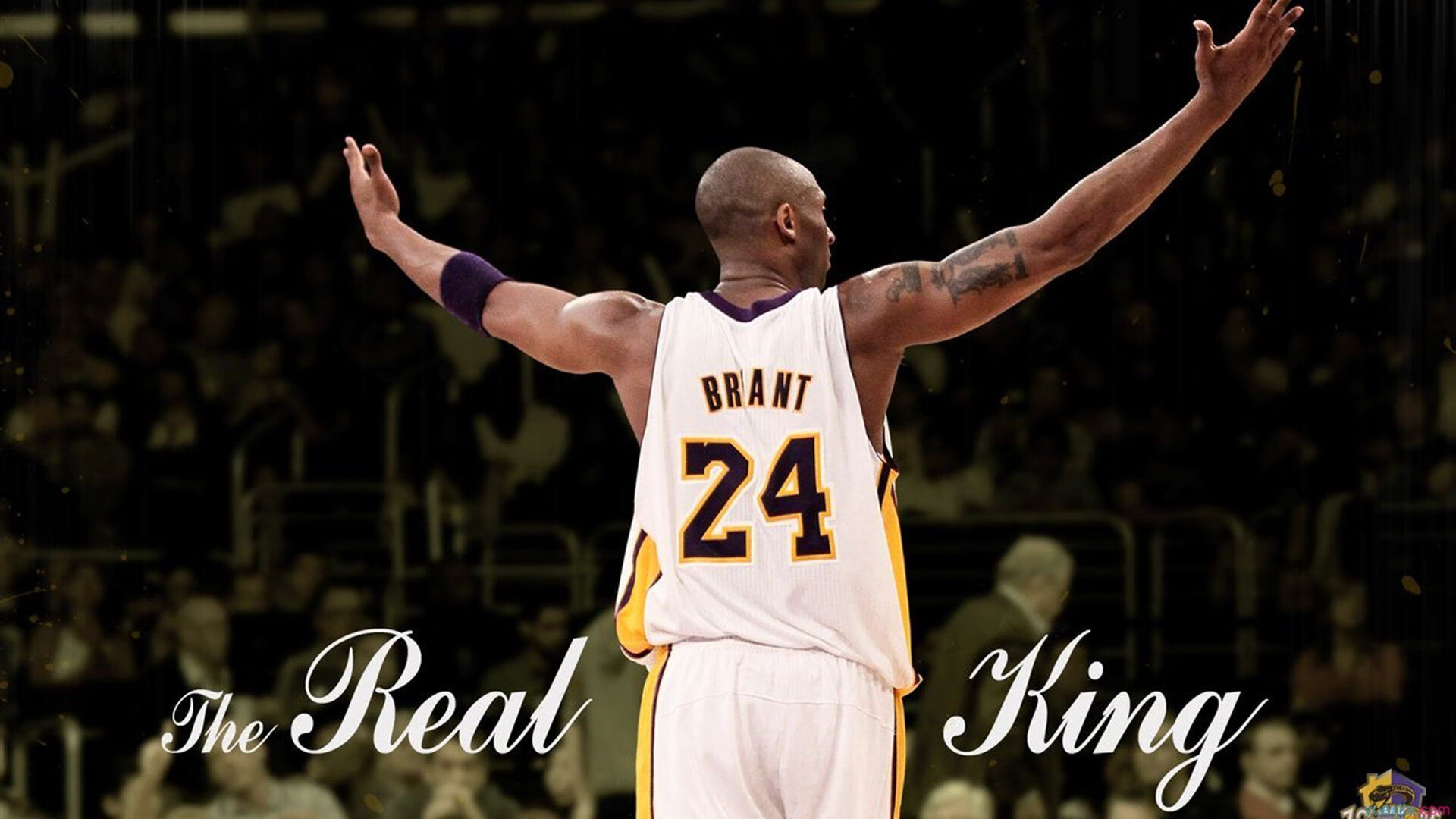 《从业者必看：电竞行业未来五年的发展蓝图》，电竞行业发展趋势